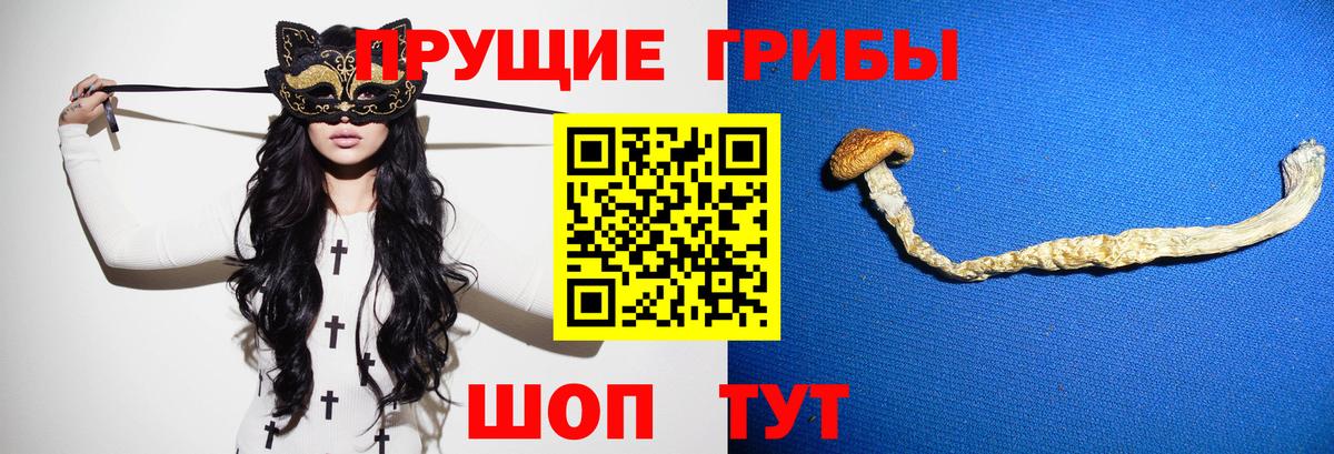 Псилоцибиновые грибы ЛСД  Псилоцибиновые грибы Magic Shrooms  Сибай  Вход с VPN 